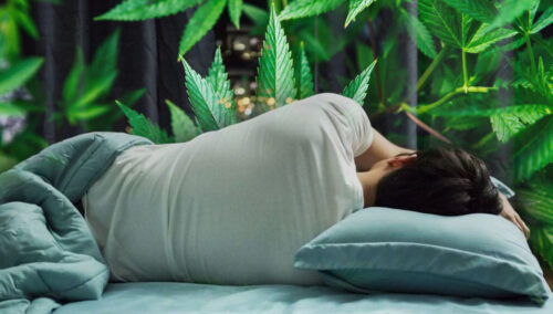 Insomnio y tratamiento eficaz con Cannabis Medicinal