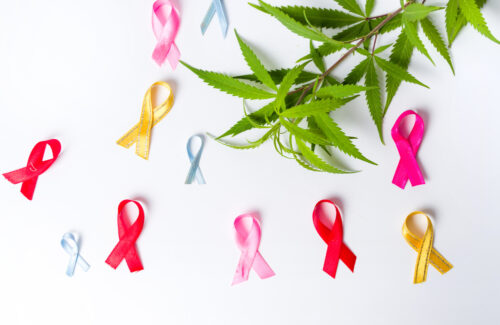 Cáncer y el potencial terapéutico de los cannabinoides