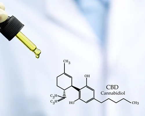 curso cannabis medicinal